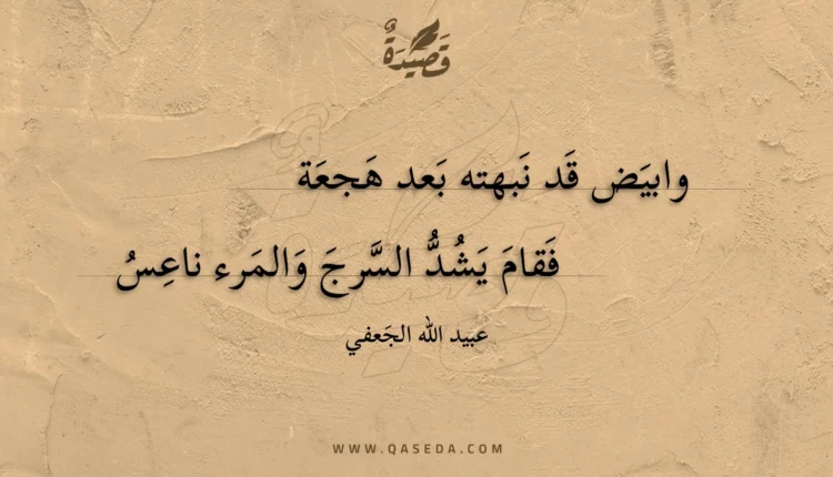 قصيدة وابيض قد نبهته بعد هجعة