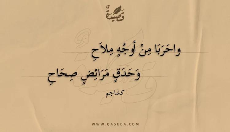 قصيدة واحربا من أوجه ملاح