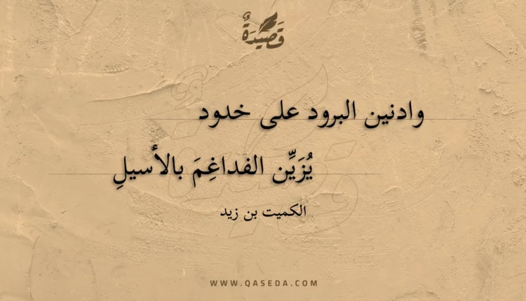 قصيدة وادنين البرود على خدود
