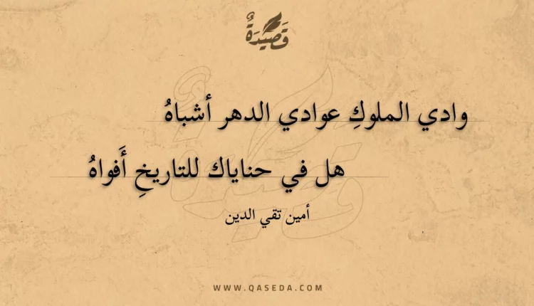 قصيدة وادي الملوك عوادي الدهر أشباه