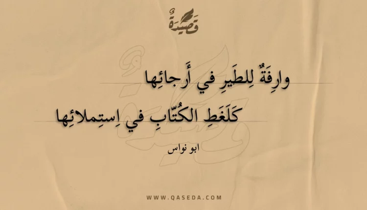 قصيدة وارفة للطير في أرجائها