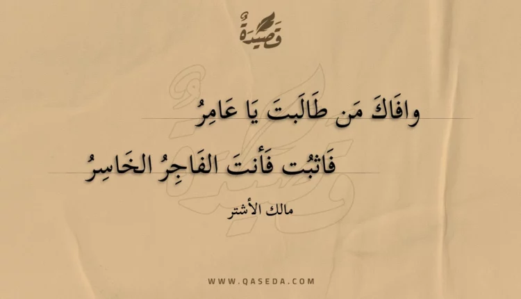 قصيدة وافاك من طالبت يا عامر