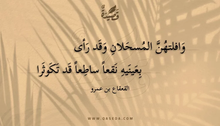 قصيدة وافلتهن المسحلان وقد رأى