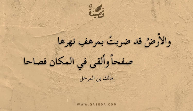 قصيدة والأرض قد ضربت بمرهف نهرها