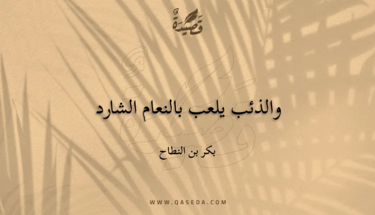 قصيدة والذئب يلعب بالنعام الشارد