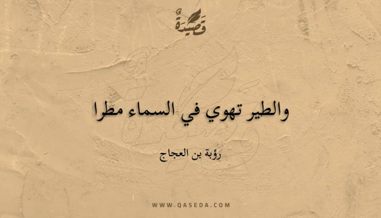 قصيدة والطير تهوي في السماء مطرا