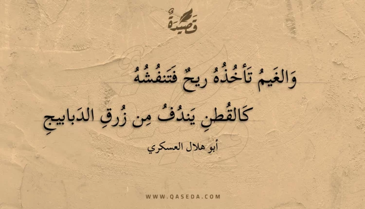 قصيدة والغيم تأخذه ريح فتنفشه