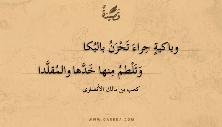 قصيدة وباكية حراء تحزن بالبكا