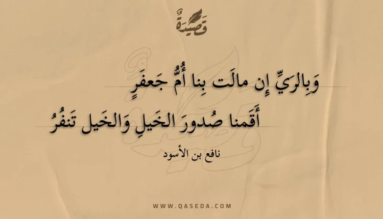 قصيدة وبالري إن مالت بنا أم جعفر
