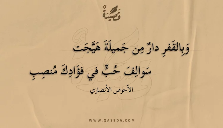 قصيدة وبالقفر دار من جميلة هيجت
