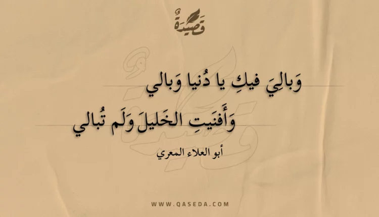 قصيدة وبالي فيك يا دنيا وبالي