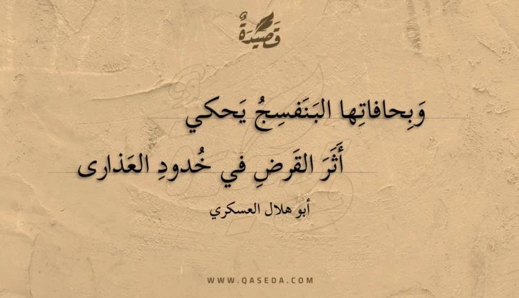 قصيدة وبحافاتها البنفسج يحكي