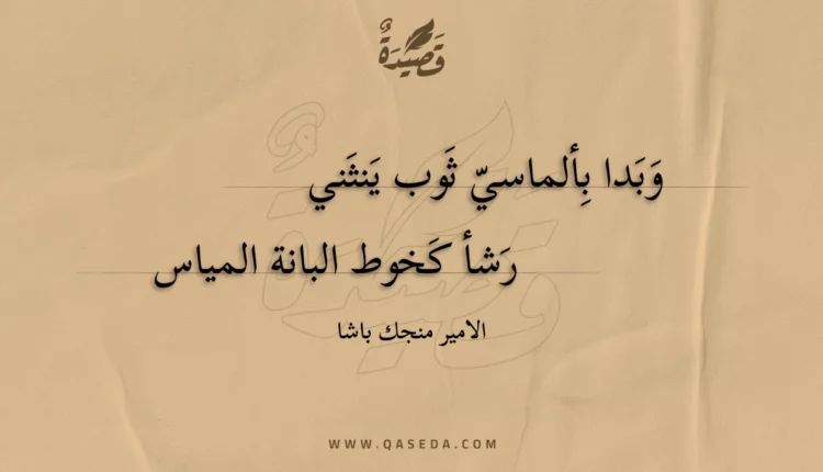 قصيدة وبدا بألماسي ثوب ينثني