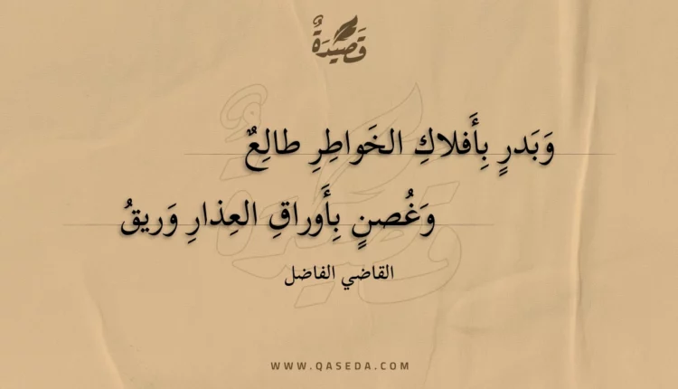 قصيدة وبدر بأفلاك الخواطر طالع