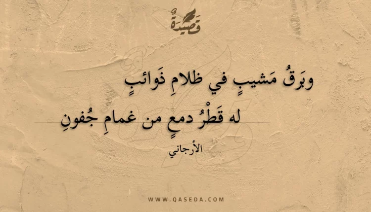 قصيدة وبرق مشيب في ظلام ذوائب