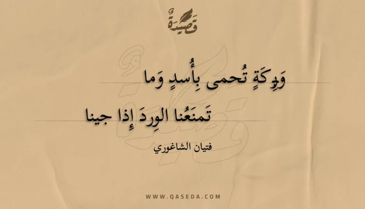 قصيدة وبركة تحمى بأسد وما