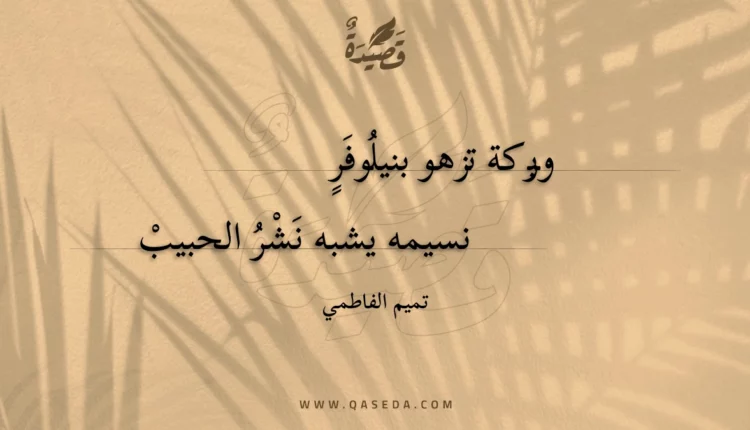 قصيدة وبركة تزهو بنيلوفر