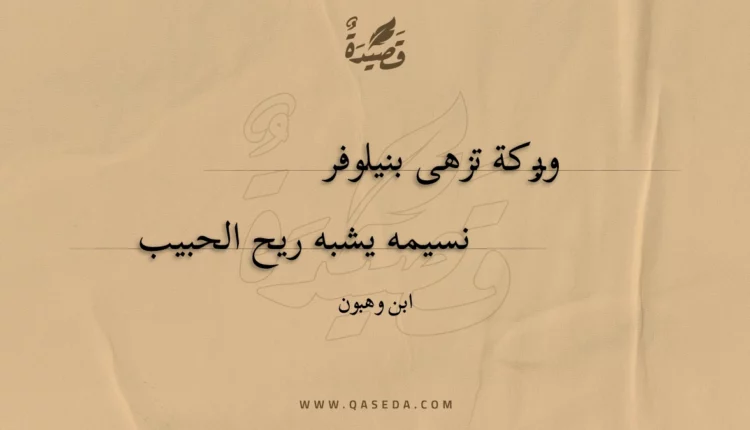 قصيدة وبركة تزهى بنيلوفر