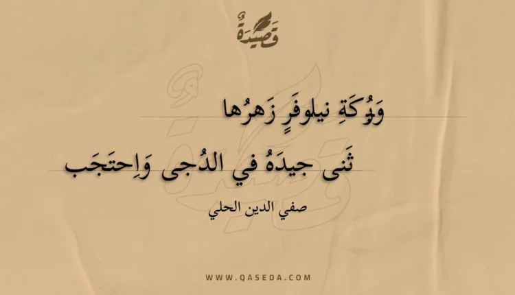 قصيدة وبركة نيلوفر زهرها