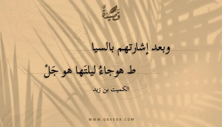 قصيدة وبعد إشارتهم بالسياط