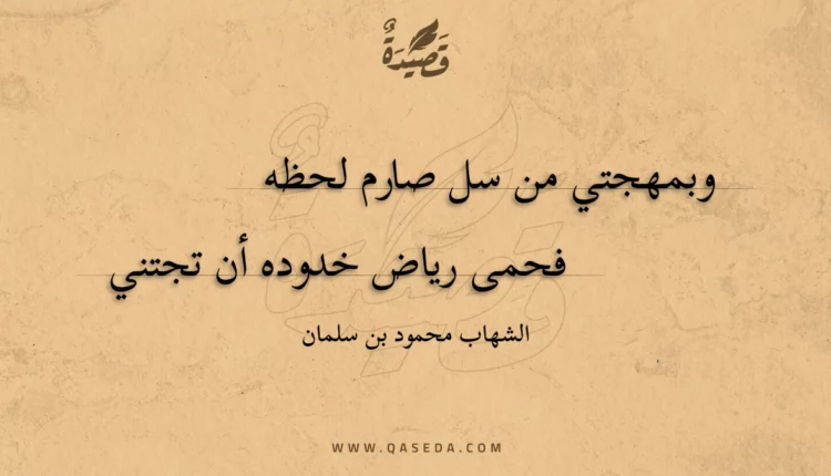 قصيدة وبمهجتي من سل صارم لحظه