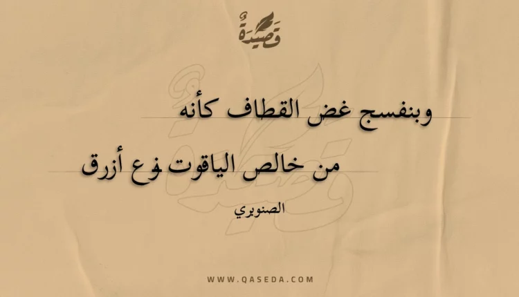 قصيدة وبنفسج غض القطاف كأنه