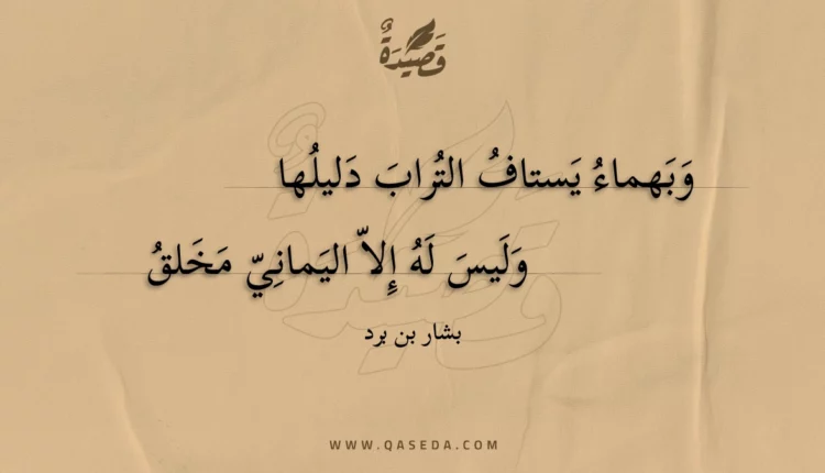 قصيدة وبهماء يستاف التراب دليلها