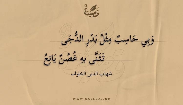 قصيدة وبي حاسب مثل بدر الدجى