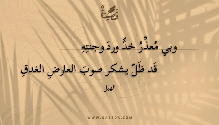قصيدة وبي معذر خد ورد وجنته