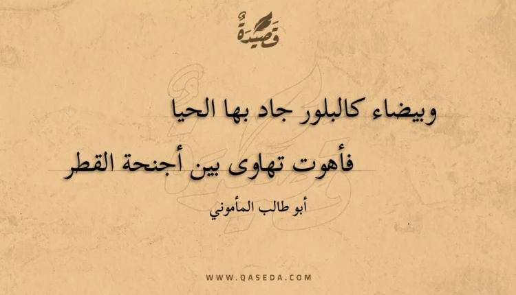 قصيدة وبيضاء كالبلور جاد بها الحيا