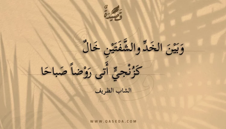 قصيدة وبين الخد والشفتين خال