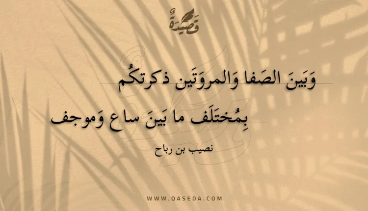 قصيدة وبين الصفا والمروتين ذكرتكم