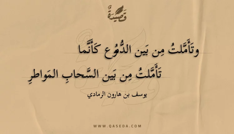 قصيدة وتأملت من بين الدموع كأنما