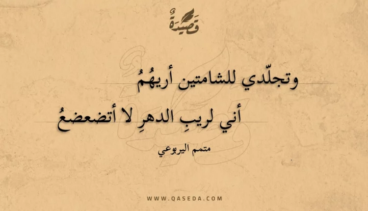 قصيدة وتجلدي للشامتين أريهم