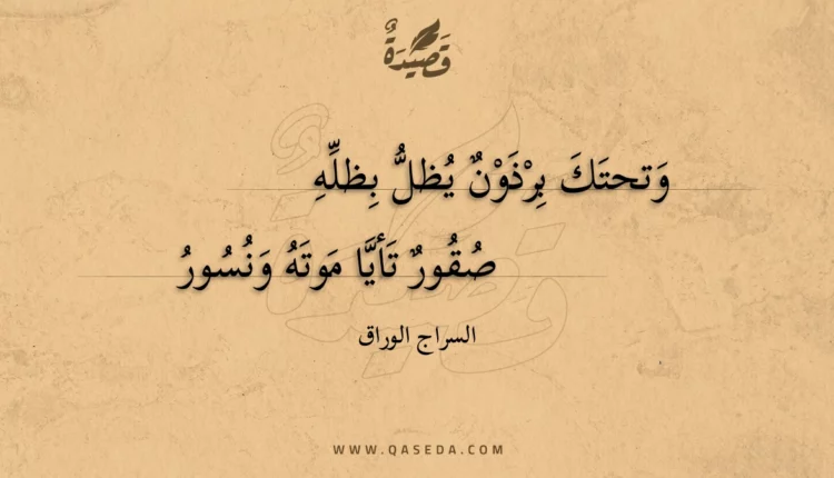 قصيدة وتحتك برذون يظل بظله