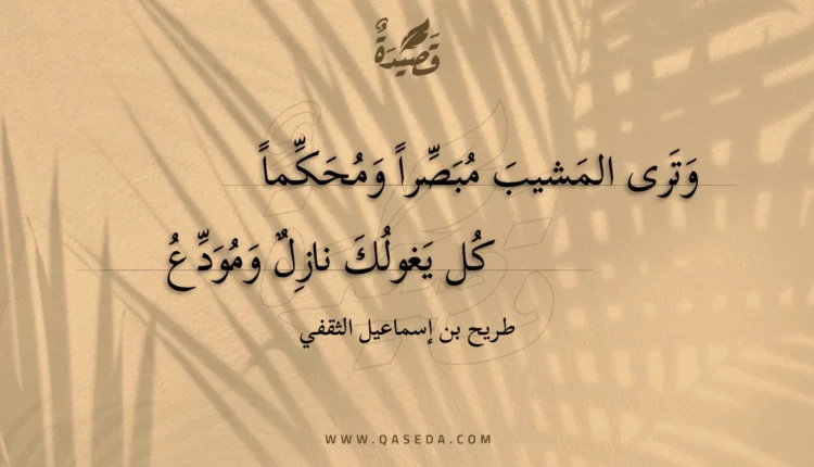 قصيدة وترى المشيب مبصرا ومحكما