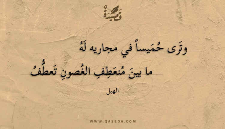قصيدة وترى حميسا في مجاريه له