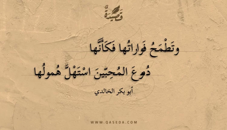 قصيدة وتطمح فواراتها فكأنها