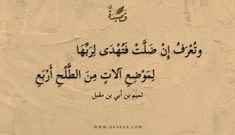 قصيدة وتعرف إن ضلت فتهدى لربها