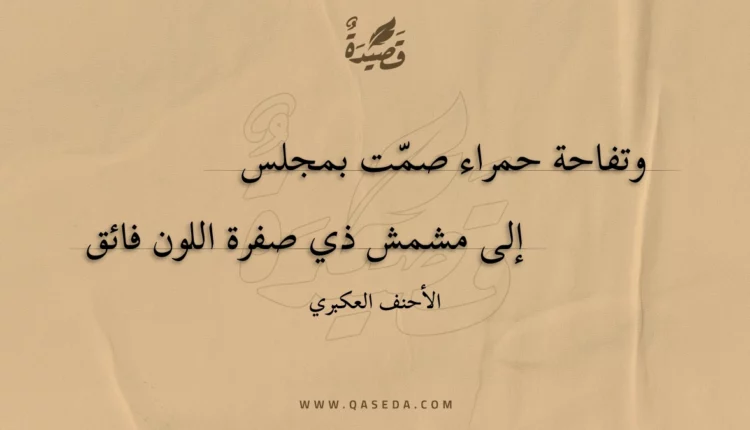 قصيدة وتفاحة حمراء صمت بمجلس