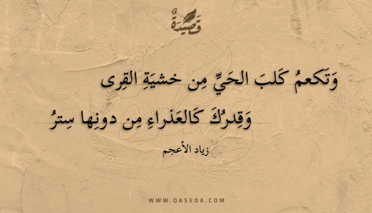 قصيدة وتكعم كلب الحي من خشية القرى