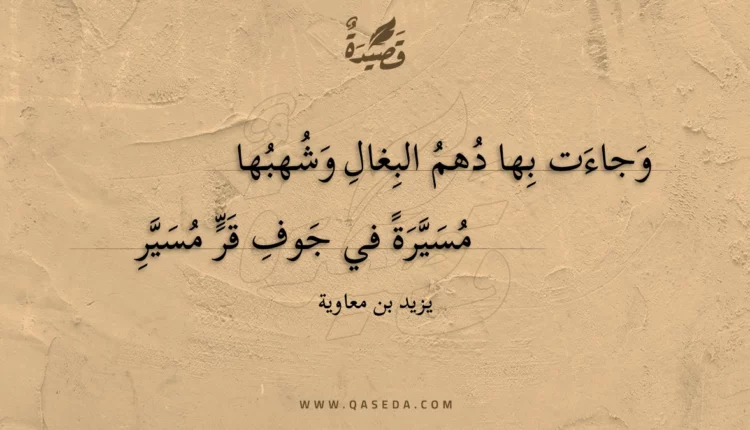 قصيدة وجاءت بها دهم البغال وشهبها
