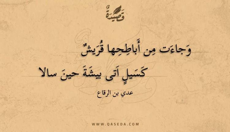 قصيدة وجاءت من أباطحها قريش