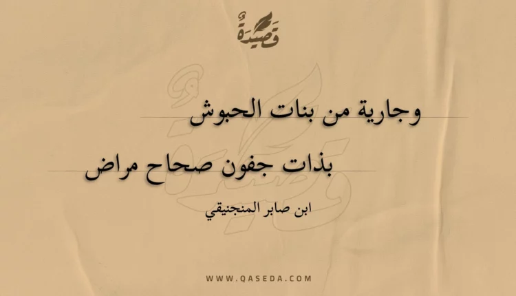 قصيدة وجارية من بنات الحبوش