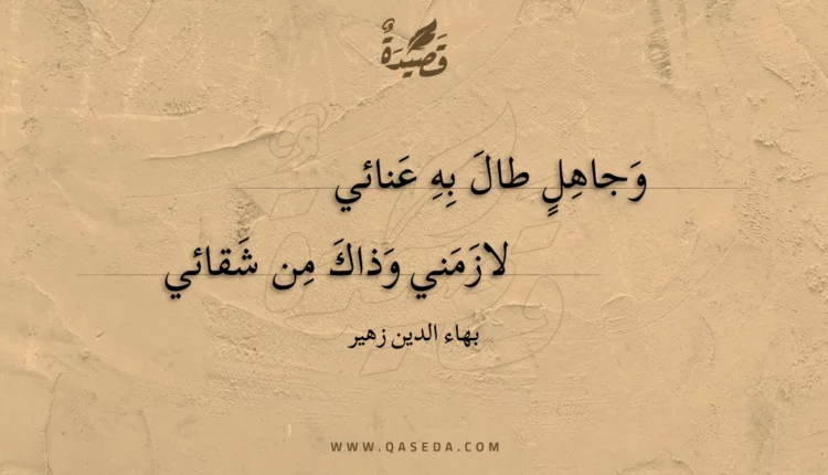 قصيدة وجاهل طال به عنائي
