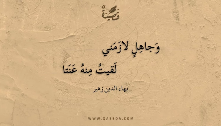 قصيدة وجاهل لازمني