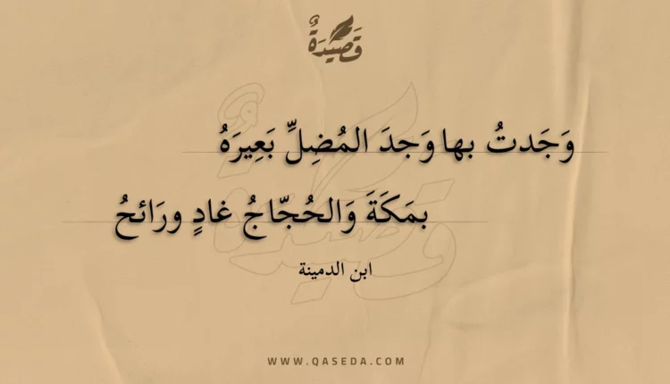 قصيدة وجدت بها وجد المضل بعيره