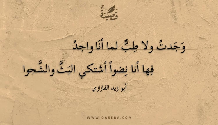 قصيدة وجدت ولا طب لما أنا واجد