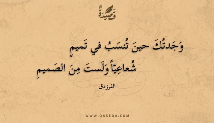 قصيدة وجدتك حين تنسب في تميم