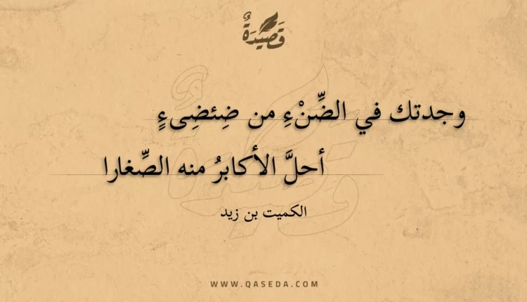 قصيدة وجدتك في الضنء من ضئضىء